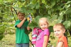 GrapePick_20060904_007