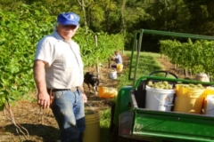 dad_picking